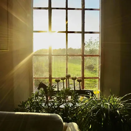 Hébergement de vacances Experience The Sea And Starling Murmuration Kolby Kås