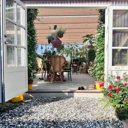 Oplev Vandet Og Sort Sol I Gl, Strandly